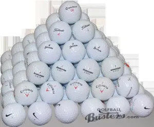 60 Premium Brands Mint