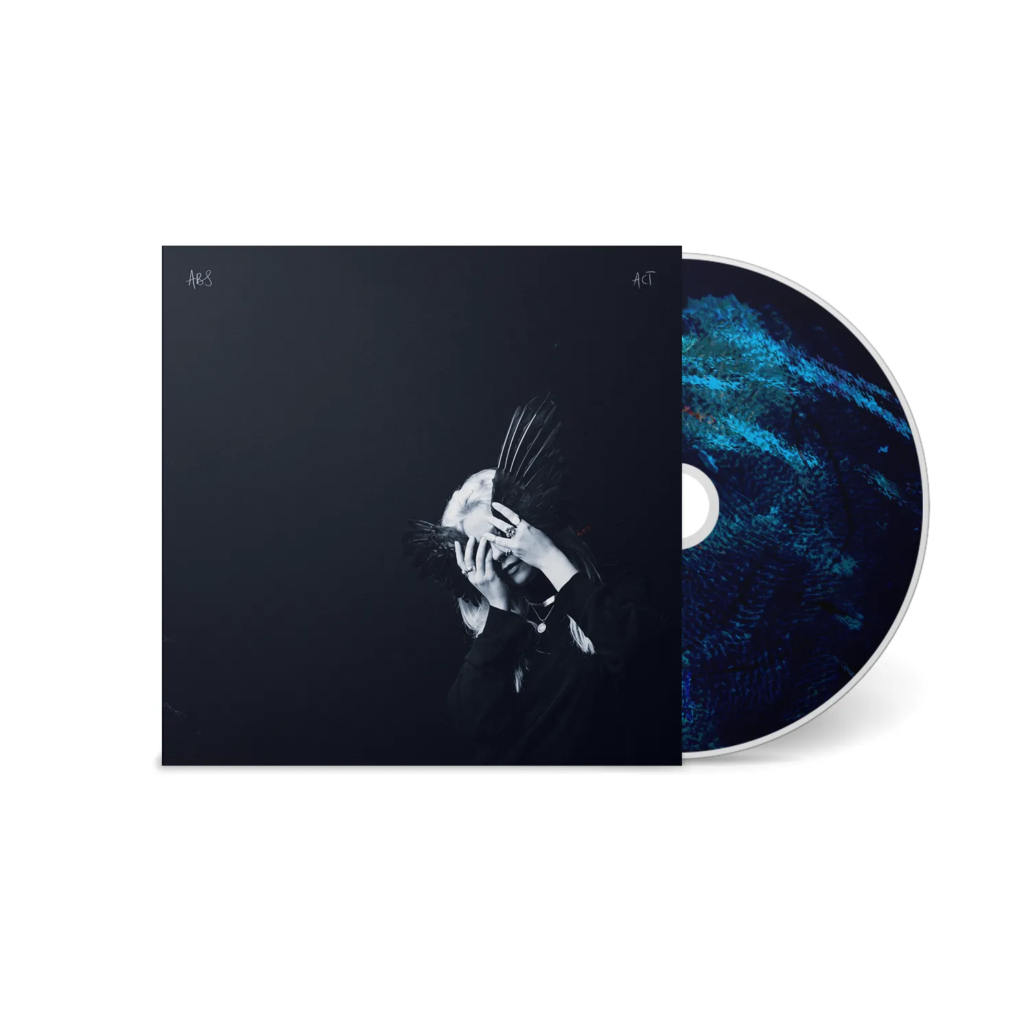 A Common Turn [CD]