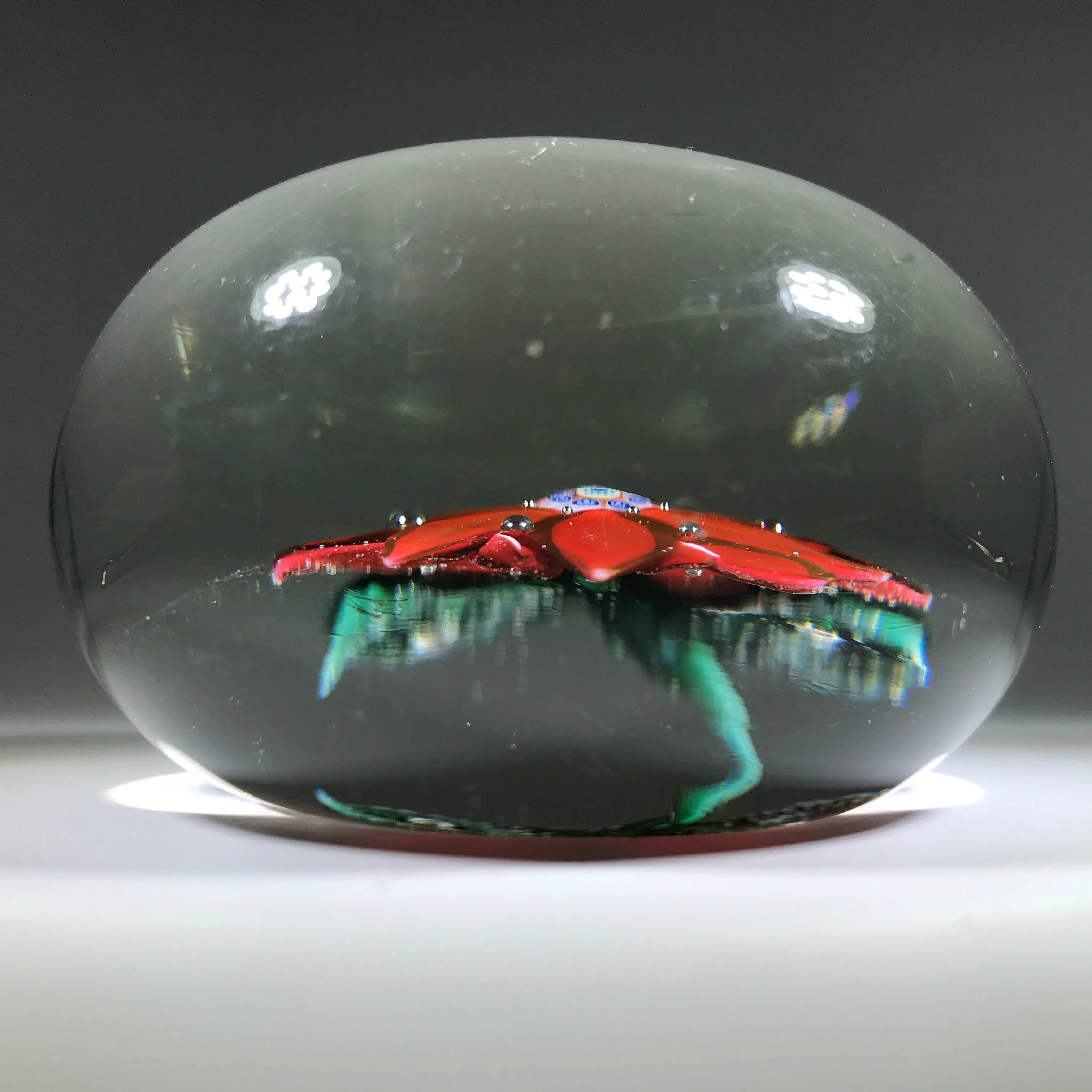 Antique Boston & Sandwich Art Glass Paperweight Lampwork Poinsettia Millefiori Center