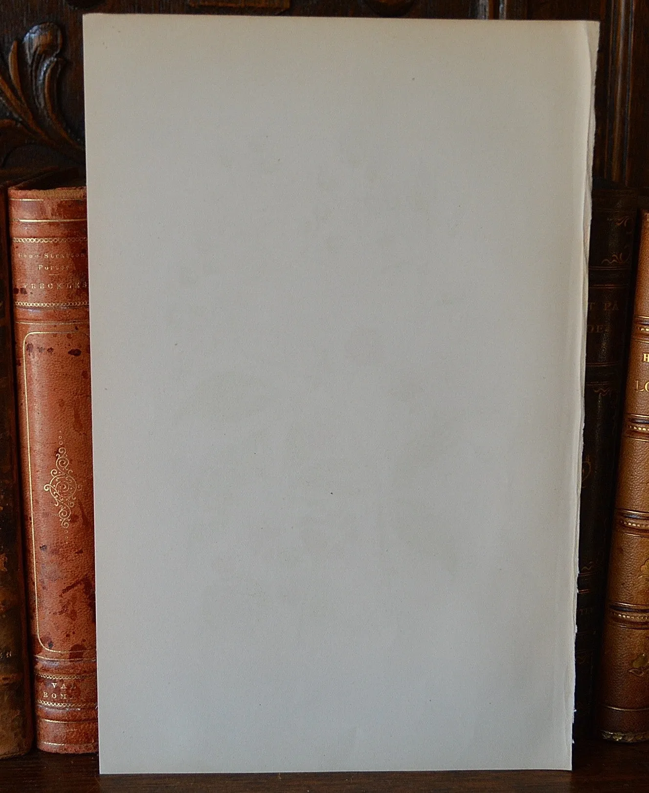 Antique Pink Floral Raspberry Botanical Print Book Plate Page