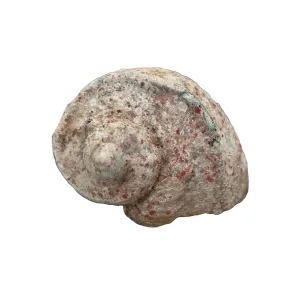 Antique Shell