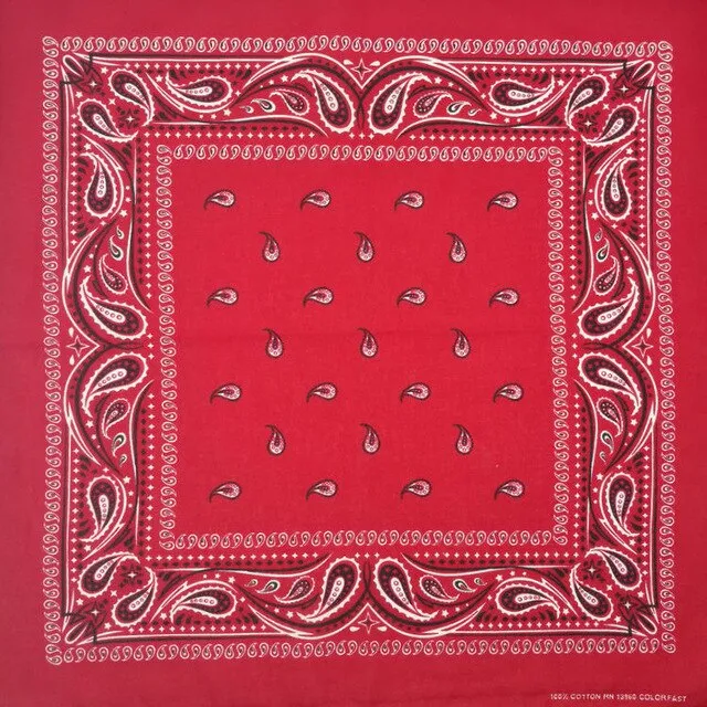 Bandana Paisley Rot