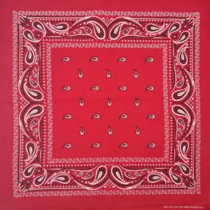 Bandana Paisley Rot