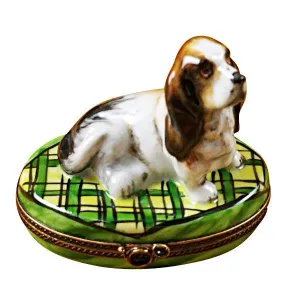 Basset Hound