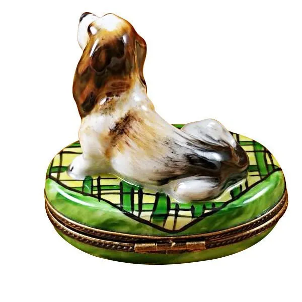 Basset Hound