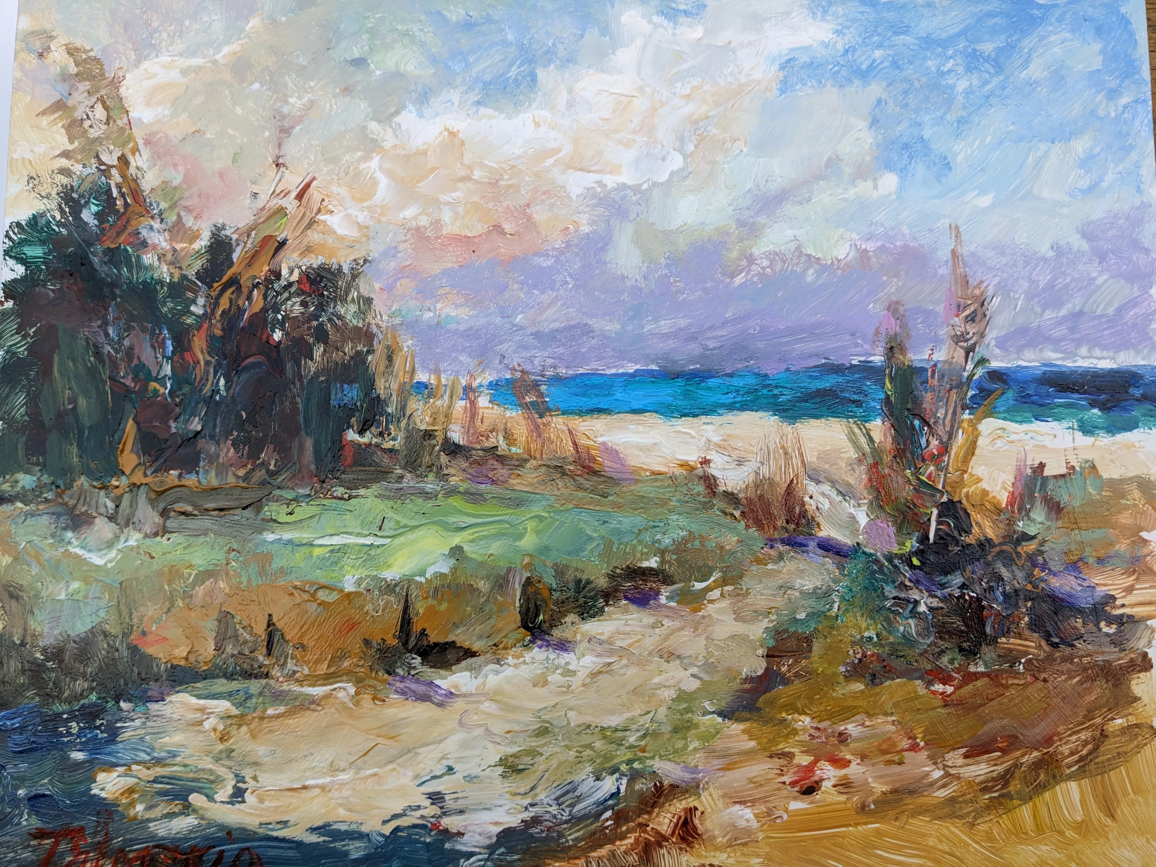Beach Path
