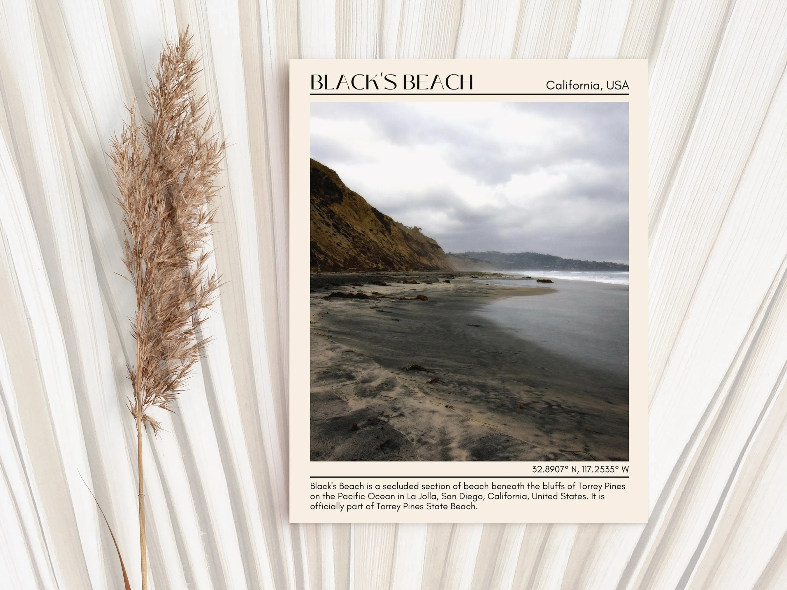 Black Beach Wall Art Canvas, USA