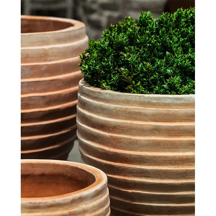 Campania Elia Planter - Set of 5