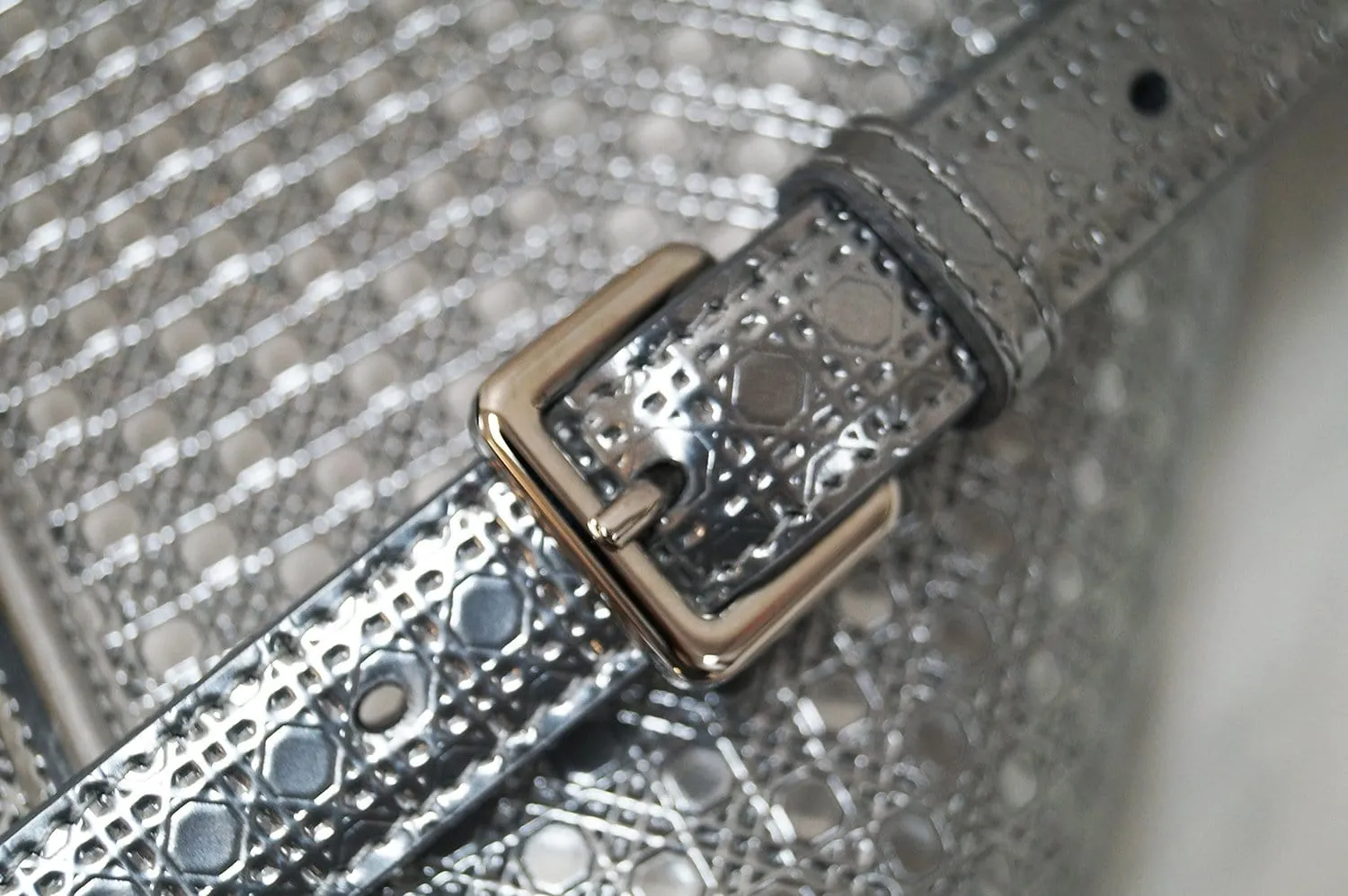 CHRISTIAN DIOR Handbags - Diorama Silver Perforated Leather Bag