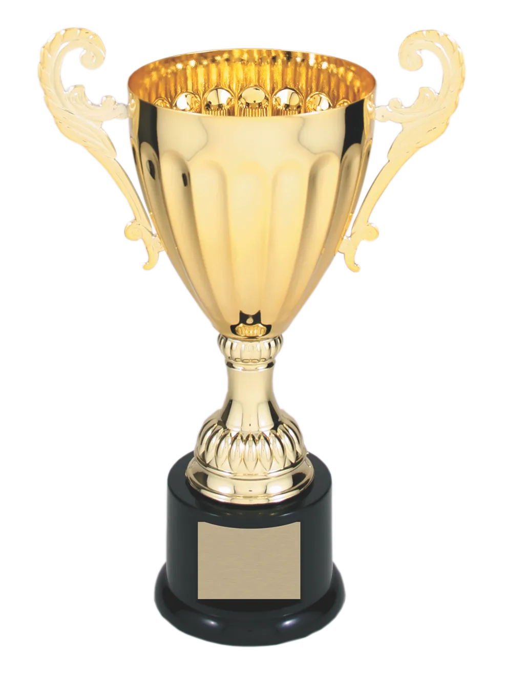 Classic Cup