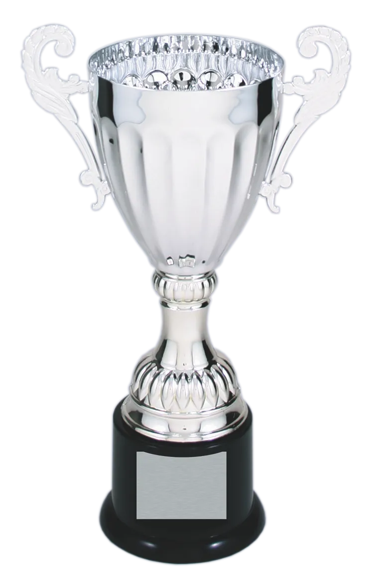Classic Cup