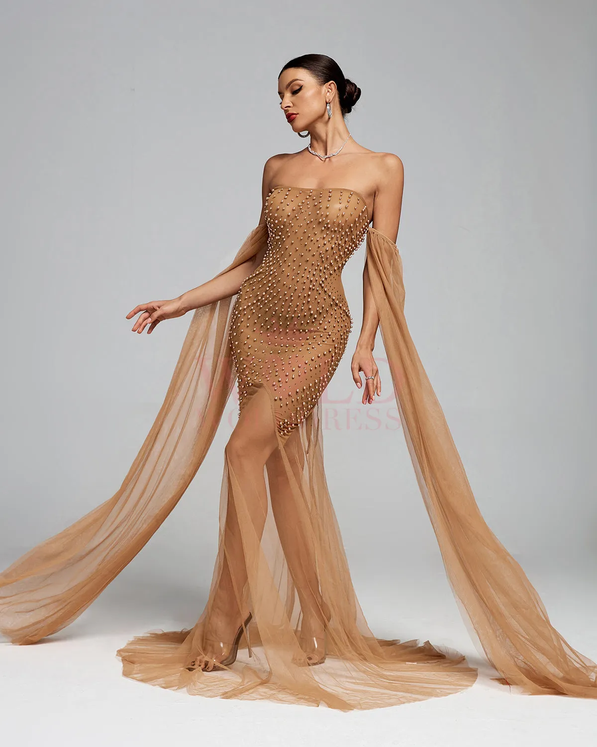Elegant Beaded Corset Mesh Prom Dress