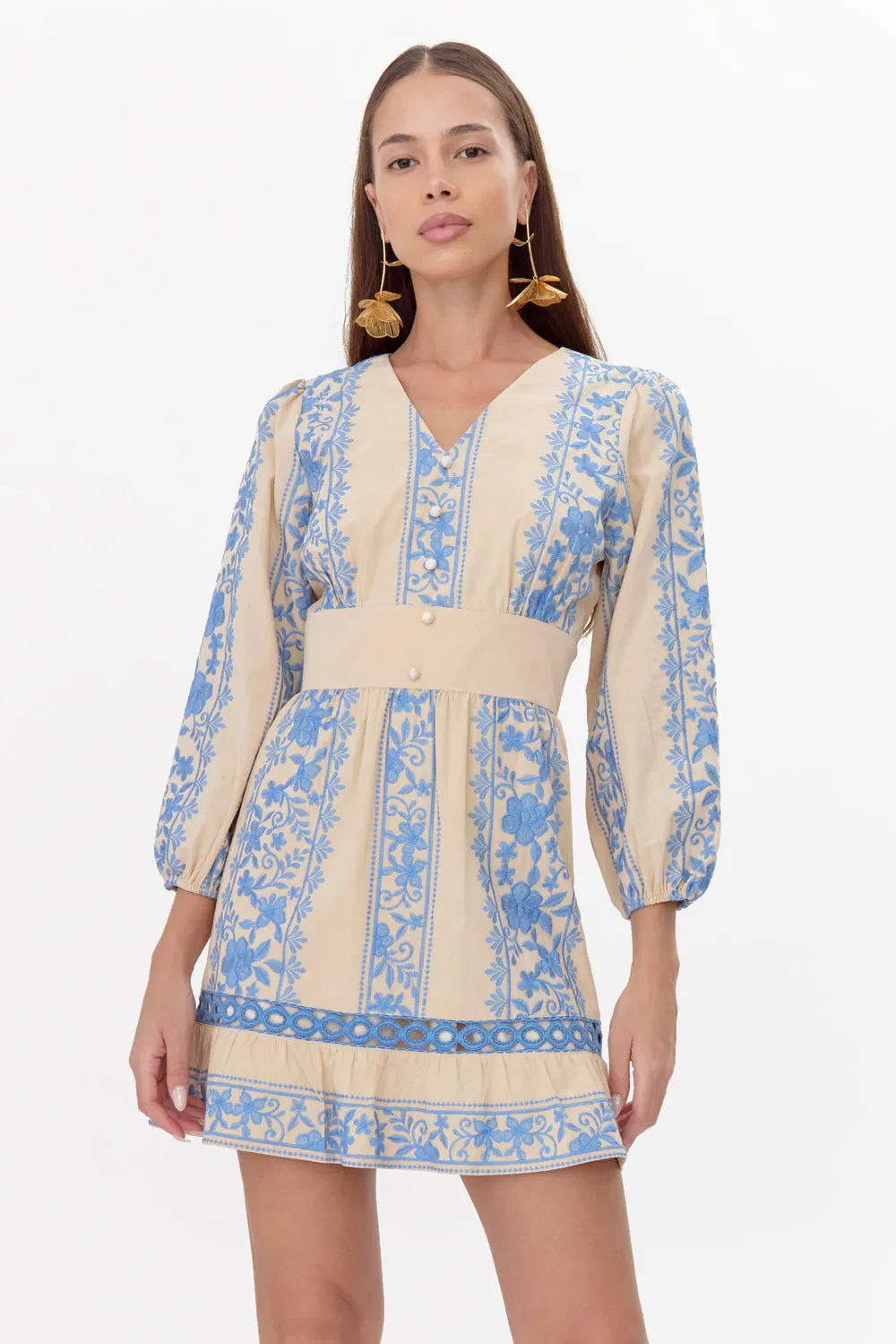 Frida Embroidered Mini Dress