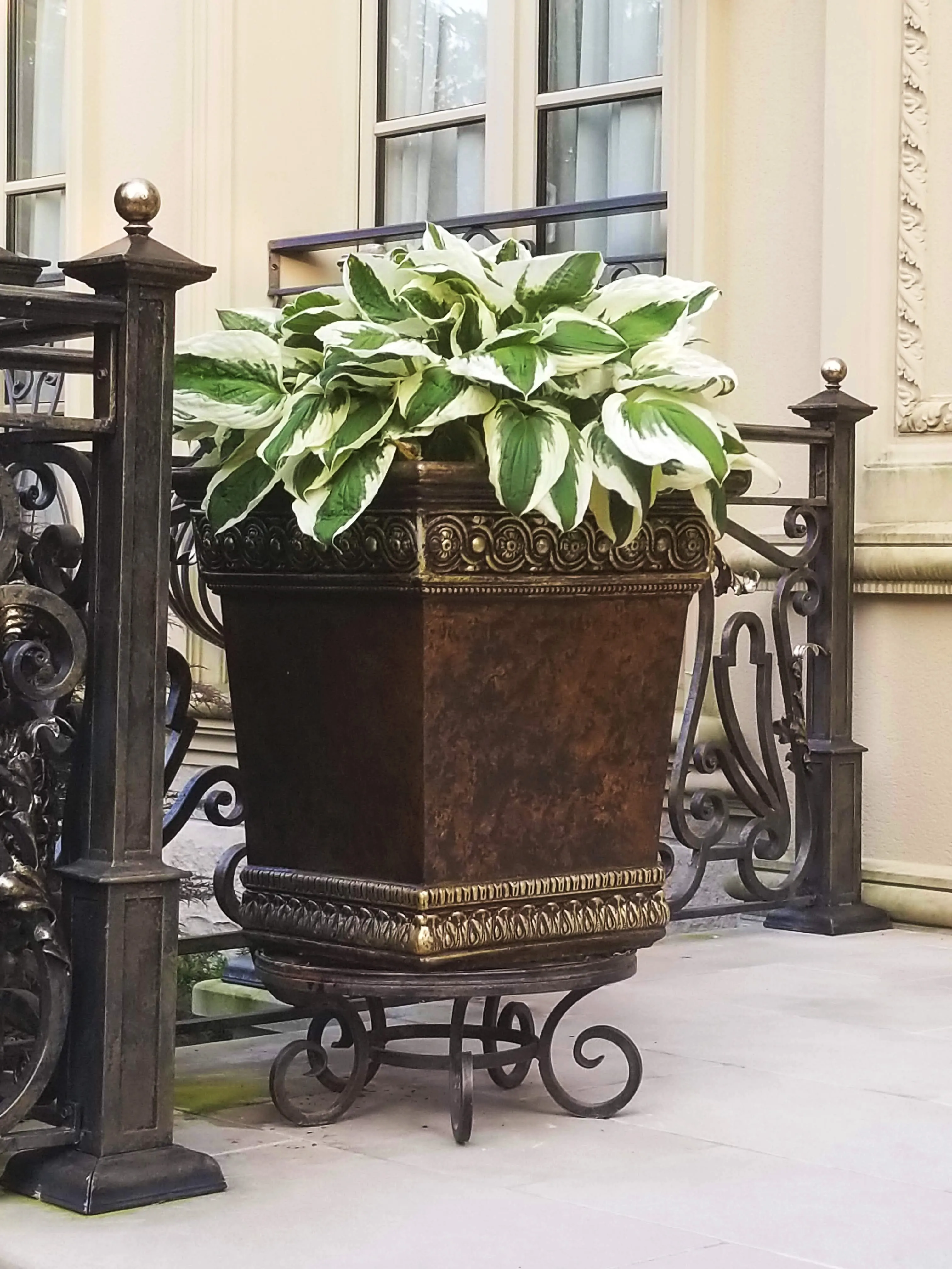 Gardenstone Dulcinea