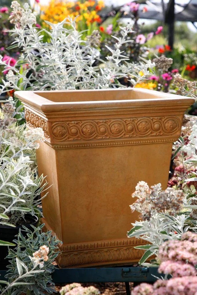Gardenstone Dulcinea