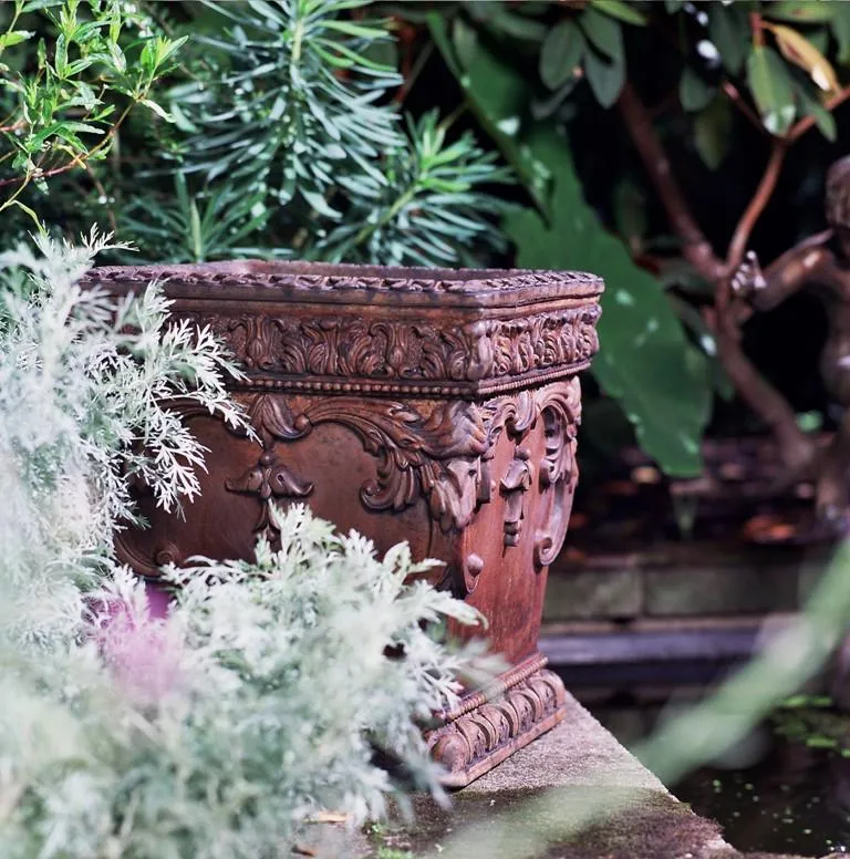 Gardenstone Savannah
