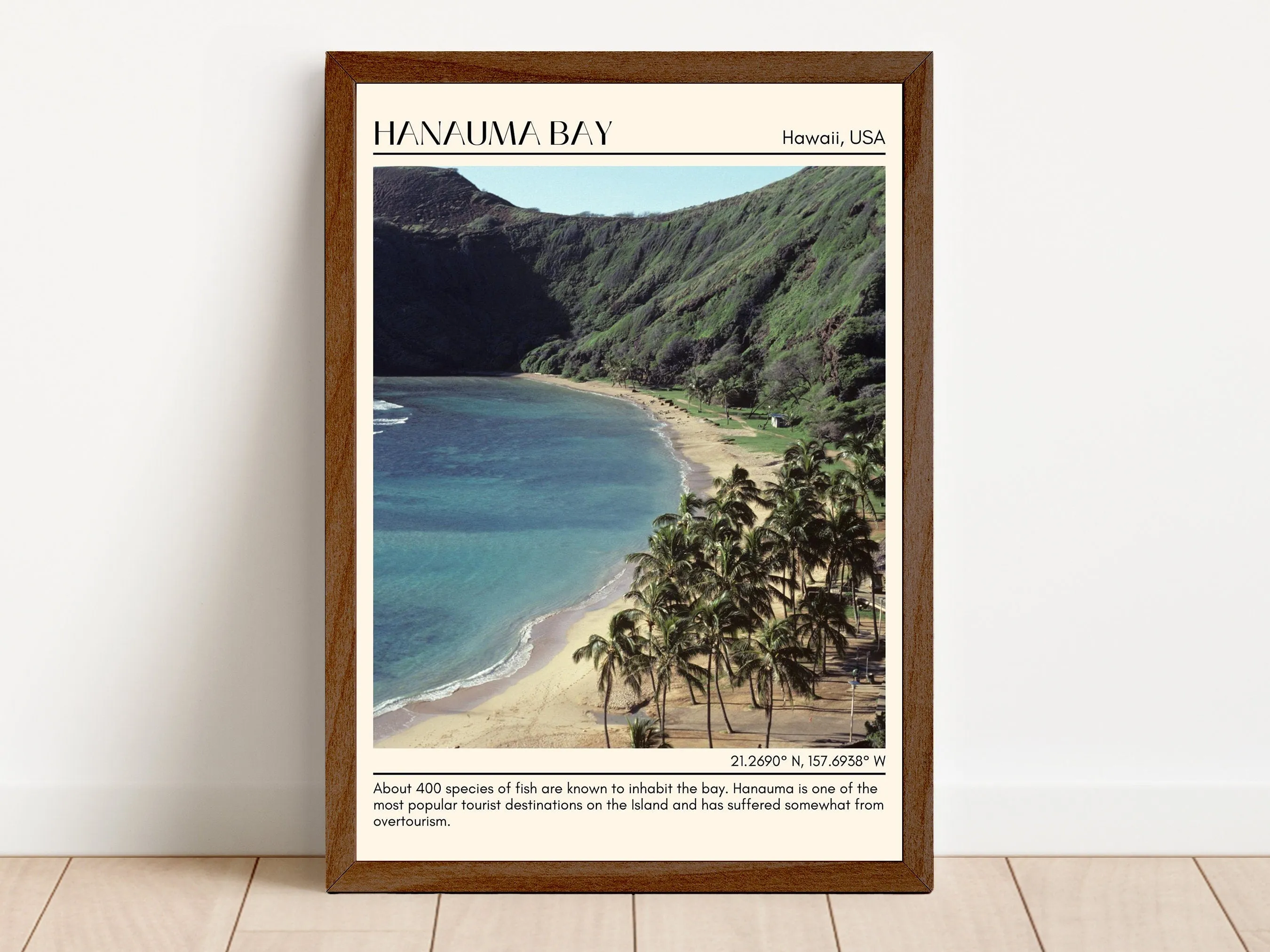 Hanauma Bay Wall Canvas, Hawaii, USA