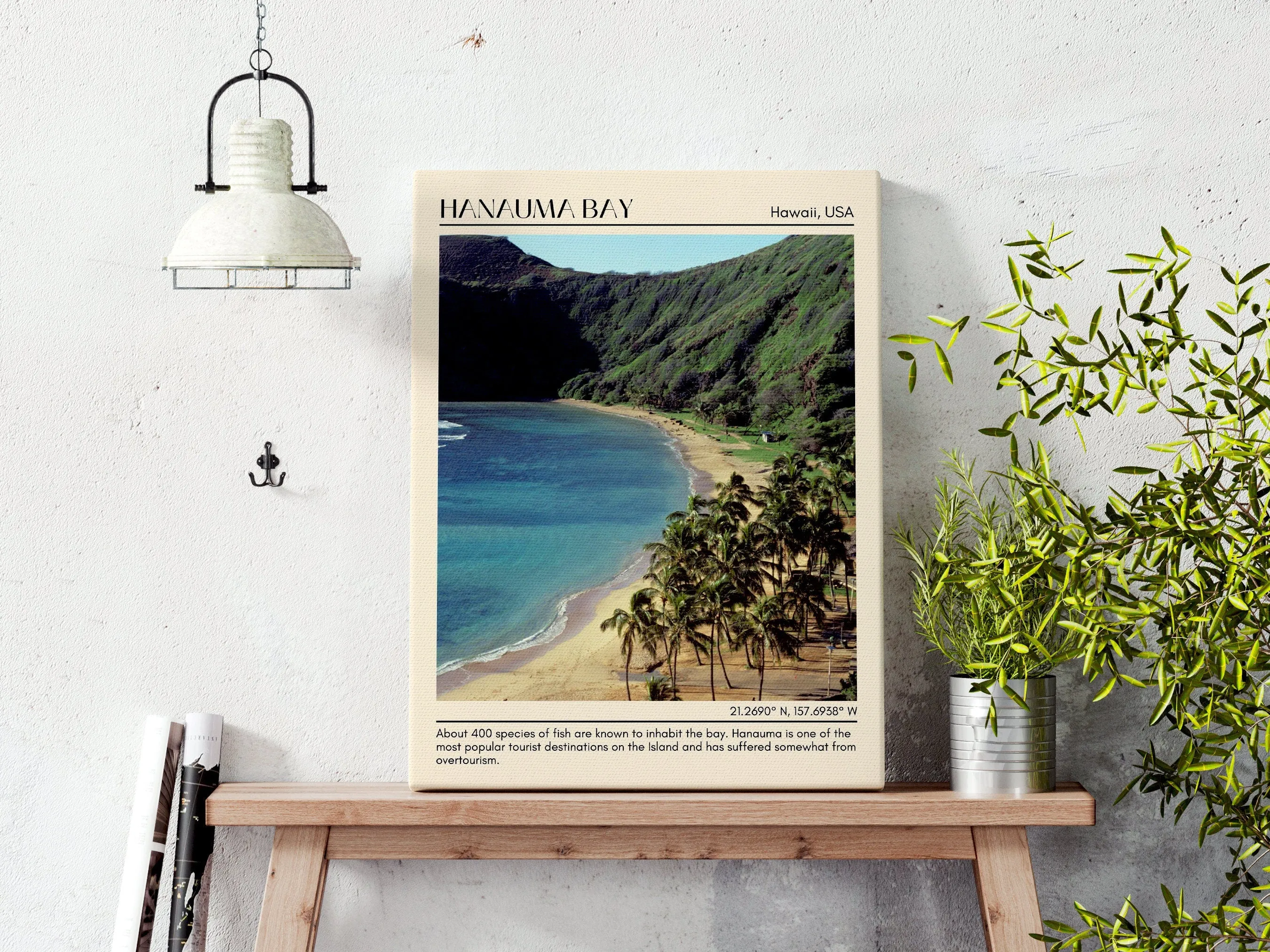 Hanauma Bay Wall Canvas, Hawaii, USA