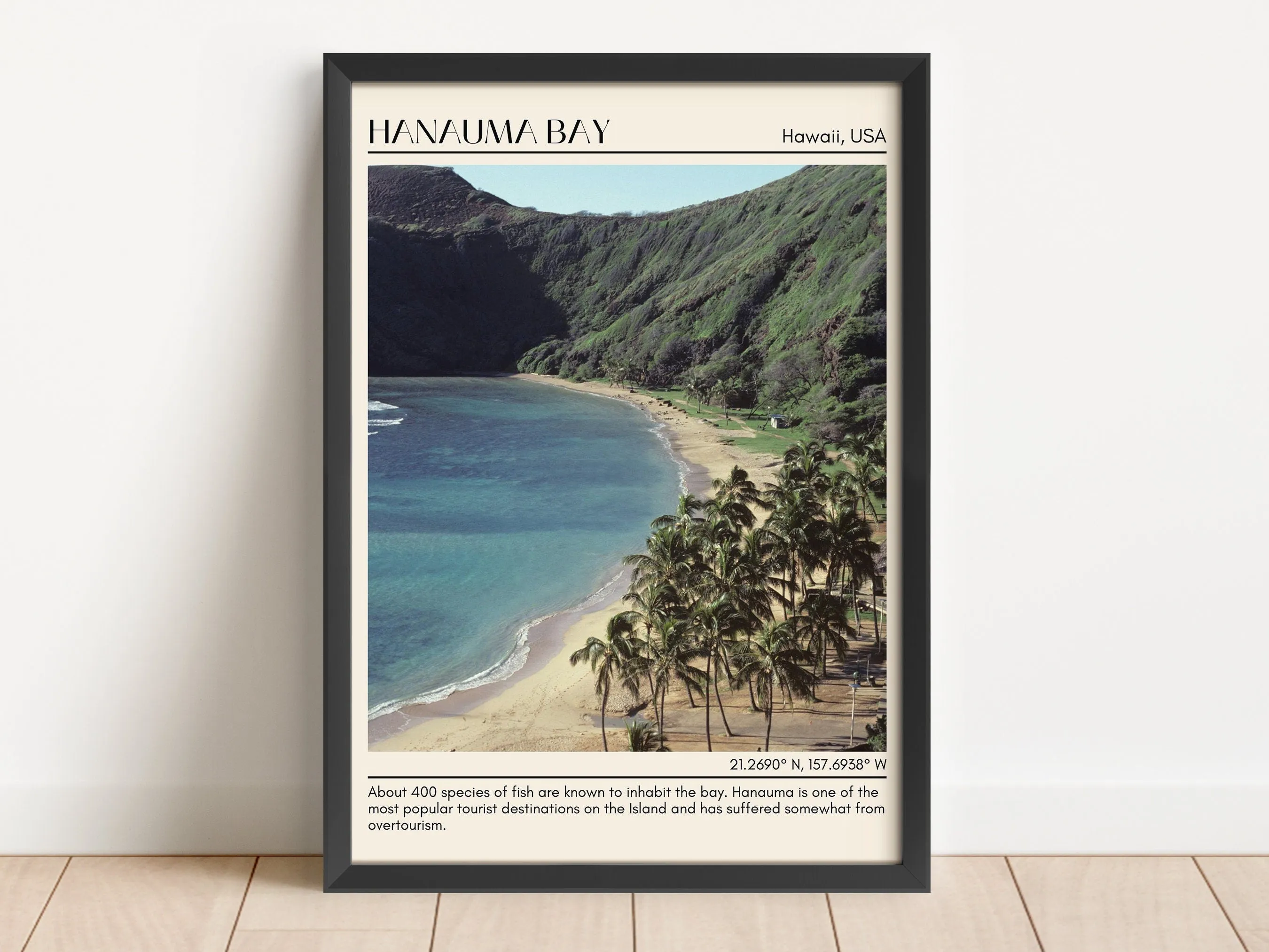 Hanauma Bay Wall Canvas, Hawaii, USA