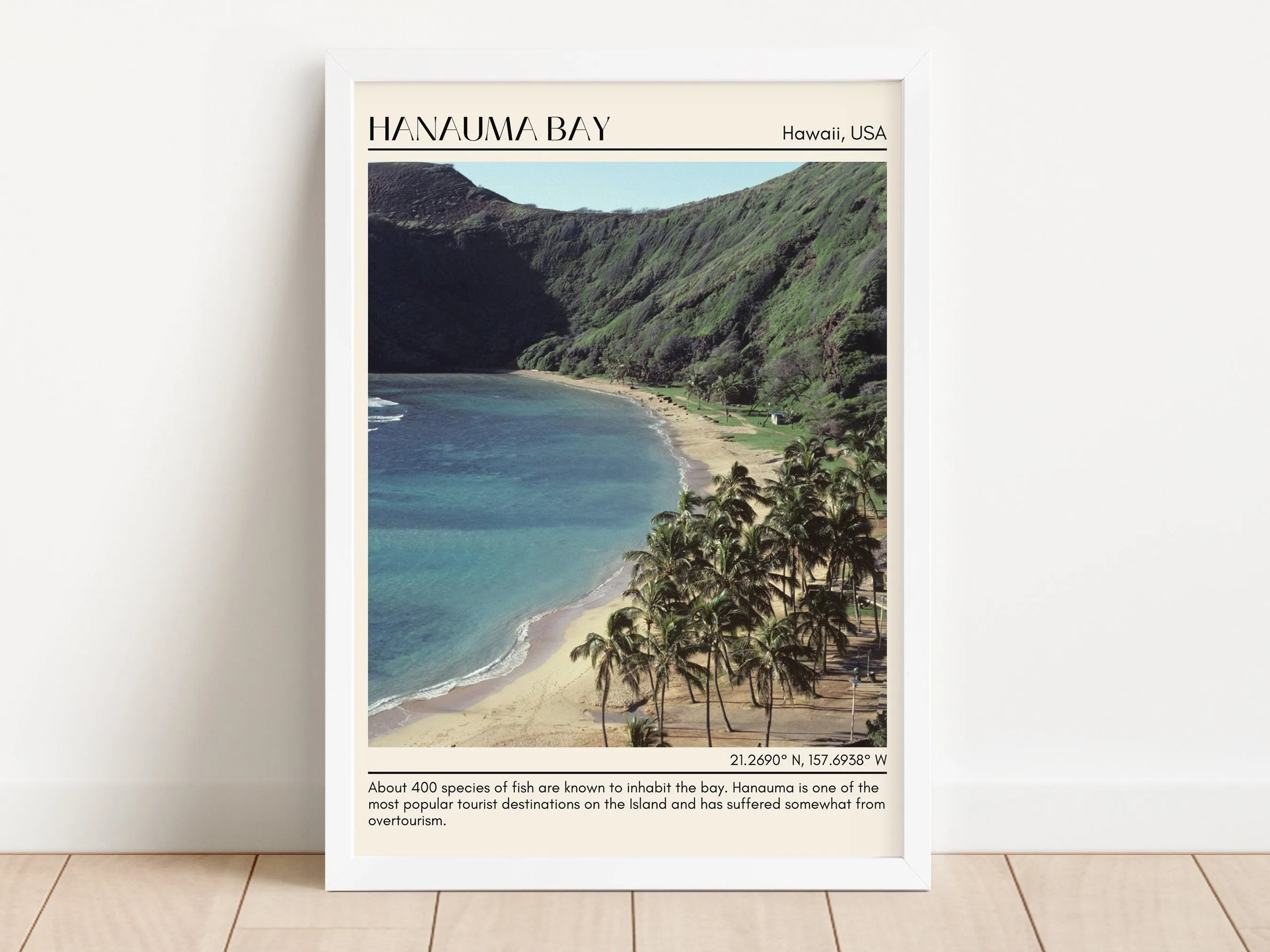 Hanauma Bay Wall Canvas, Hawaii, USA