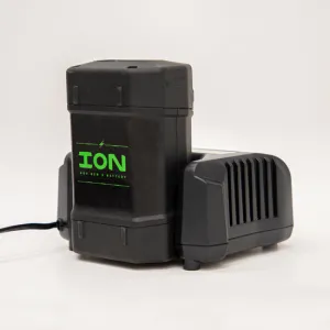 Ion Battery Charger