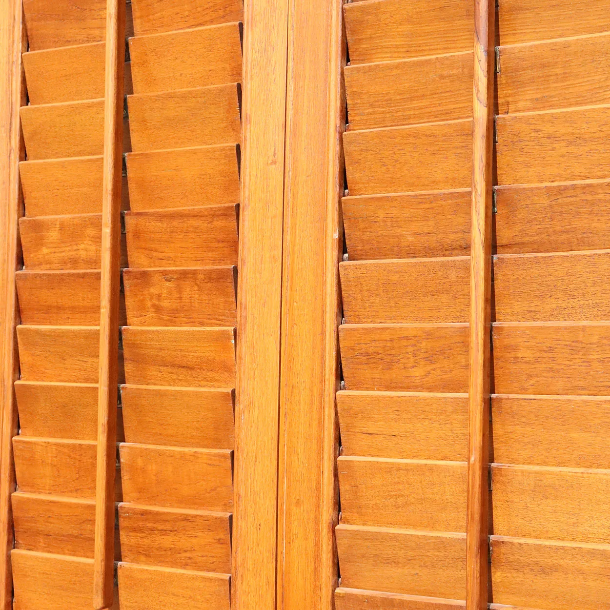 Large Anglo Indian Teak Louvered Double Door with Frame