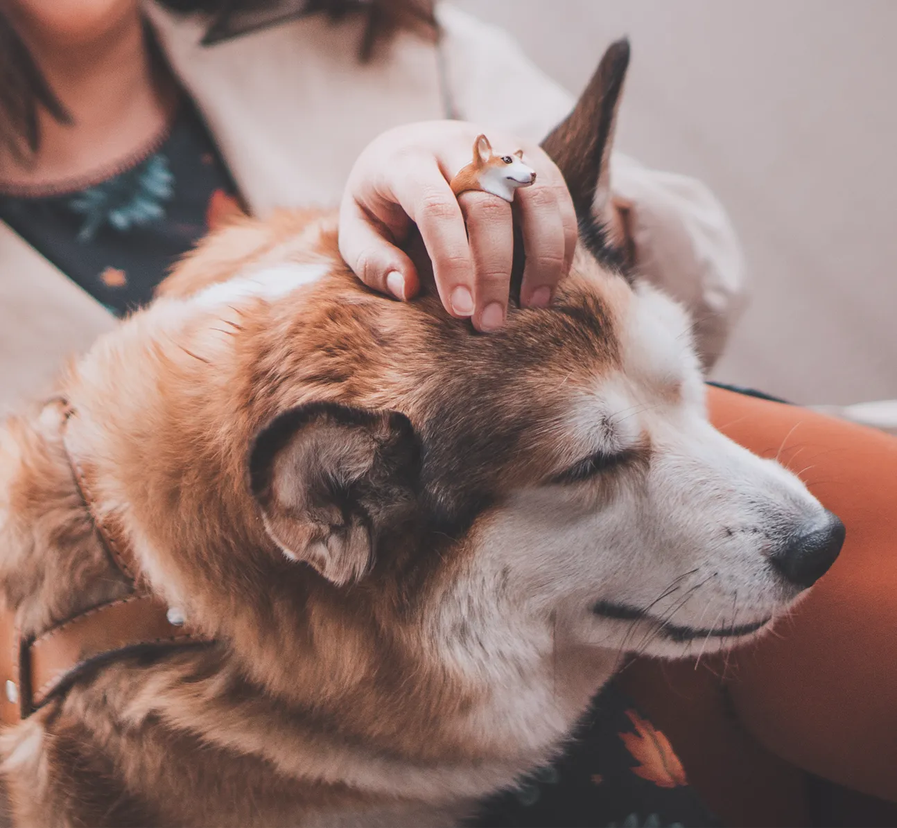 Latte Corgi Ring