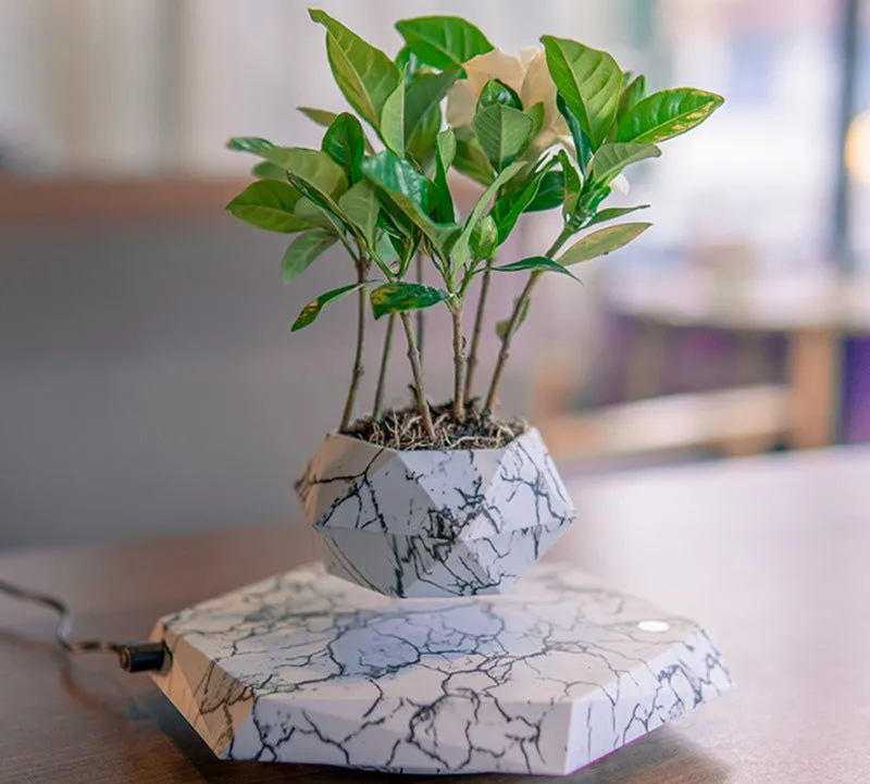 Levitating Planter
