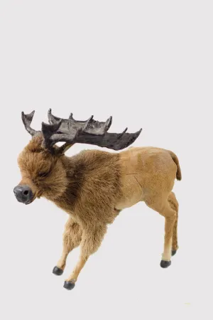 Little Critter Moose