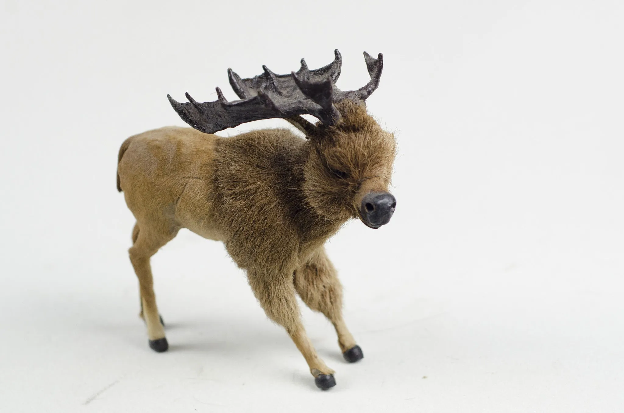 Little Critter Moose