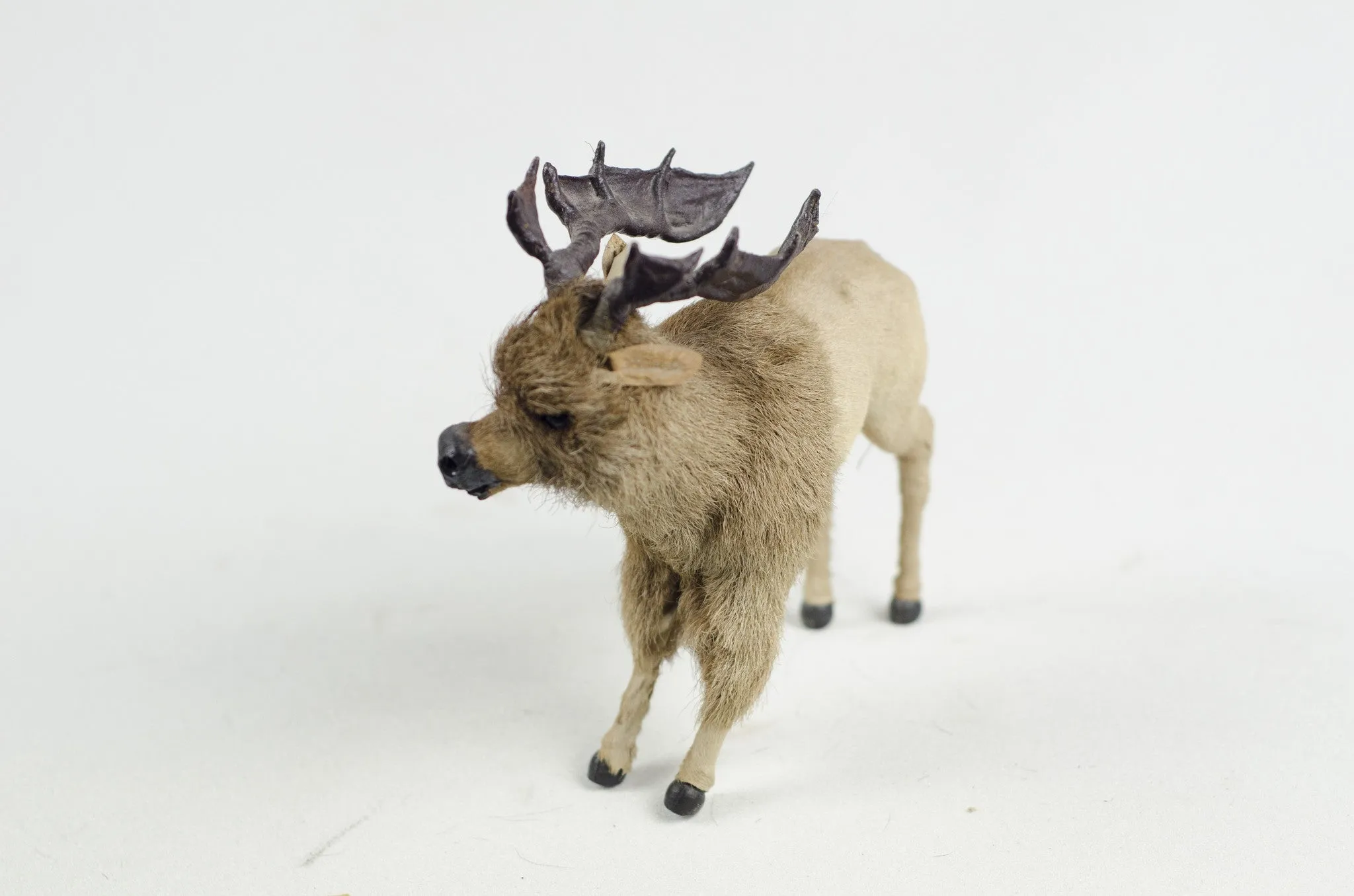 Little Critter Moose