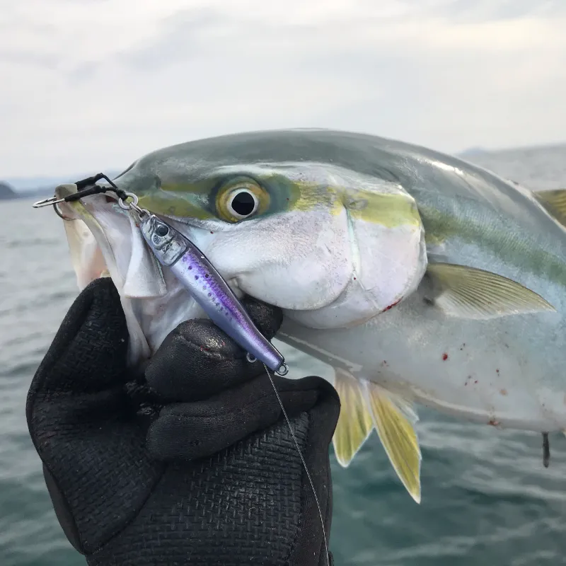 Little Jack Jig METAL ADICT Type-04 175g