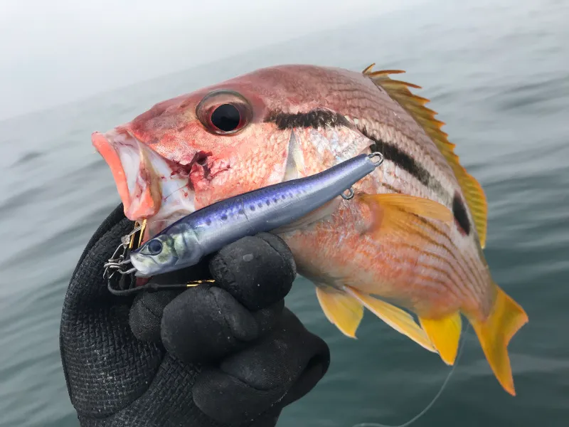 Little Jack Jig METAL ADICT Type-04 175g