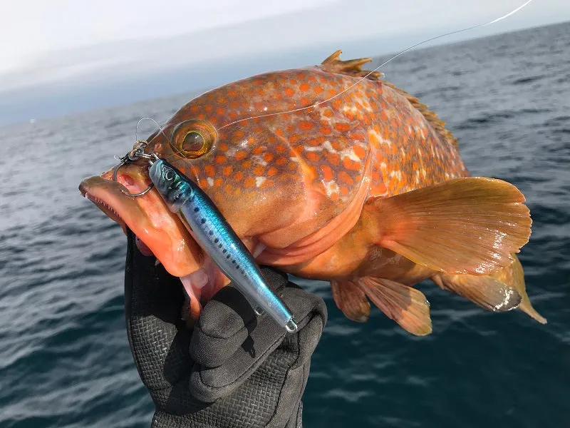 Little Jack Jig METAL ADICT Type-04 175g