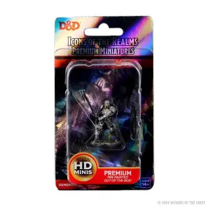 Male Human Fighter: D&D Icons of the Realms Premium Figures (W3)