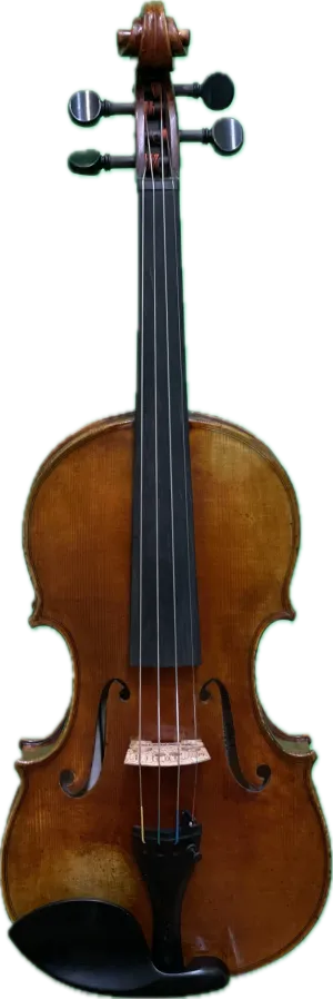 Matthias Werner Violin