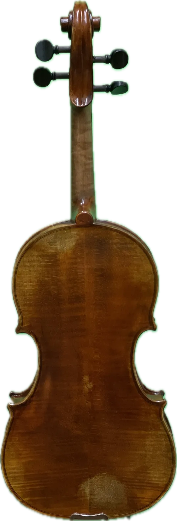 Matthias Werner Violin