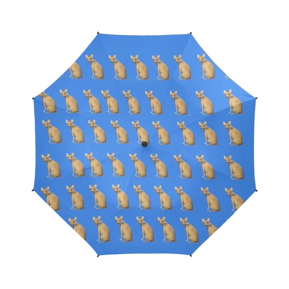 Mini Pinscher Umbrella - Lulu