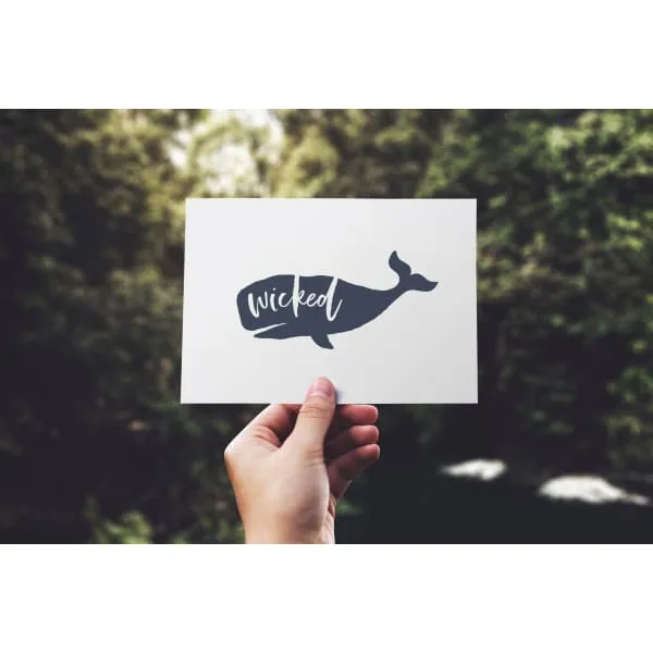 Nantucket Collection | Wicked Whale greeting card