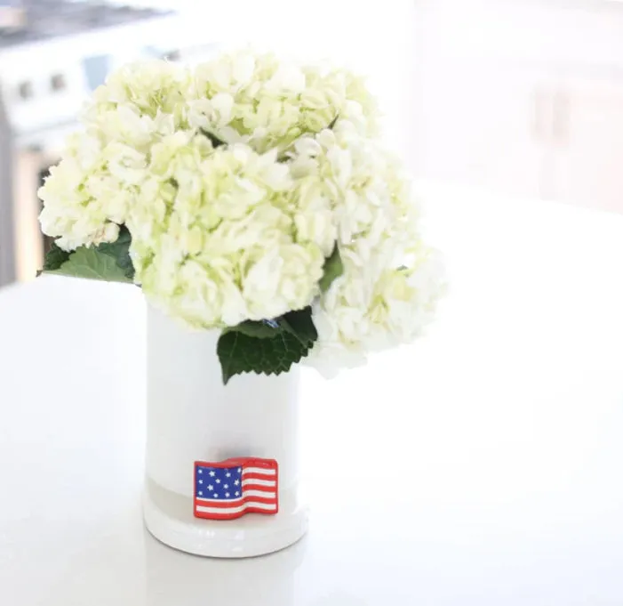 Nora Fleming Stars & Stripes Forever (US Flag) Mini