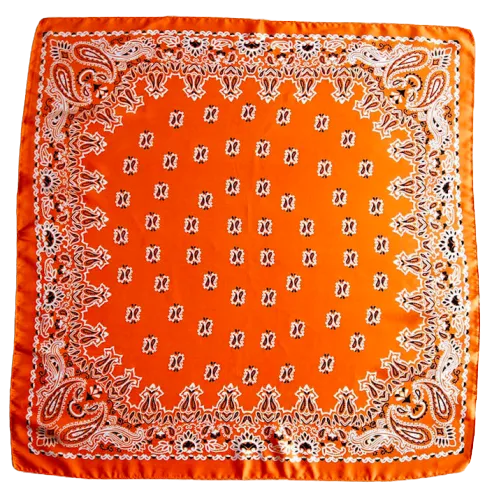 Orange Paisley Bandana