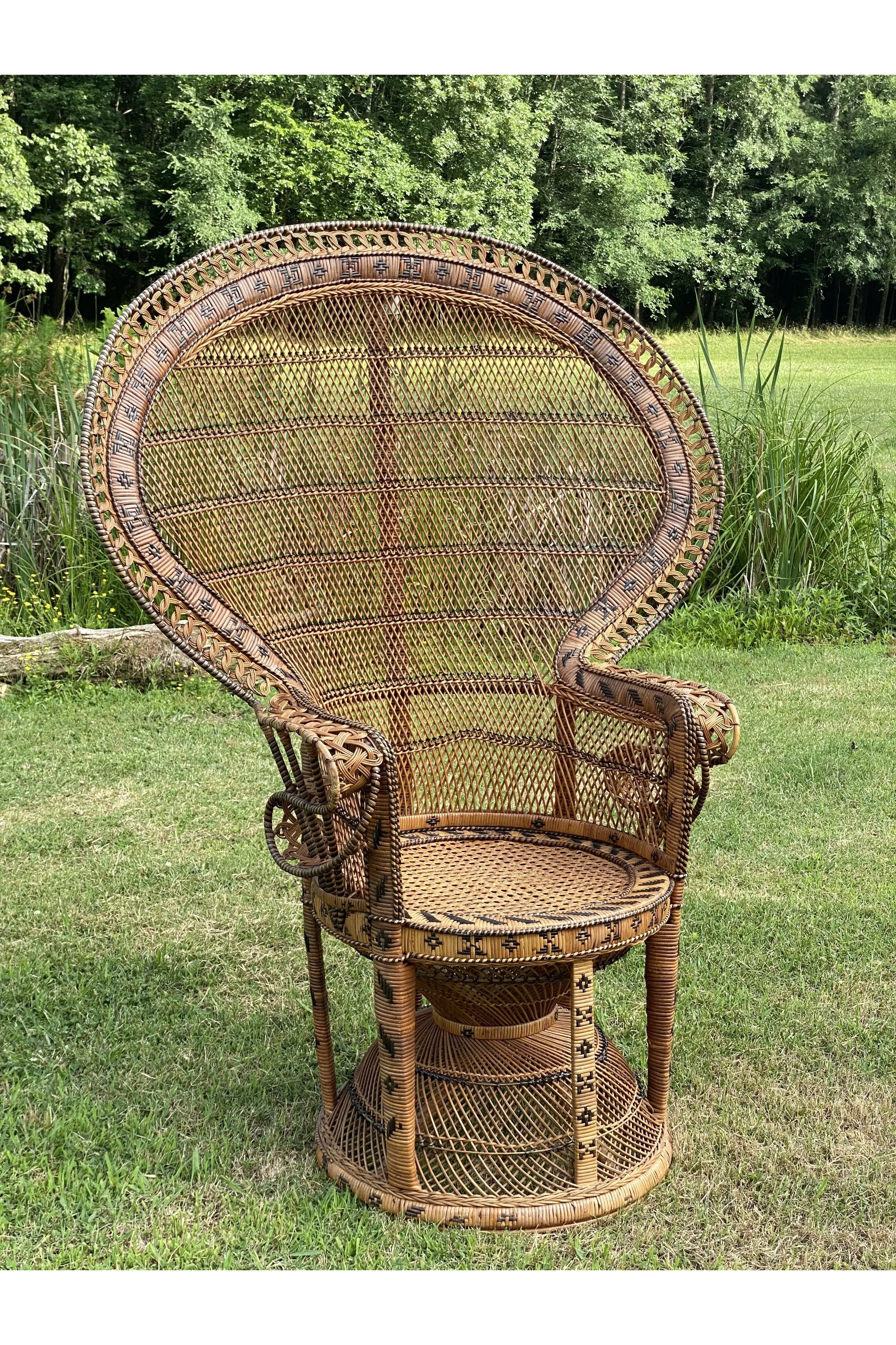 Ornate Rust Brown Peacock Chair - Rental