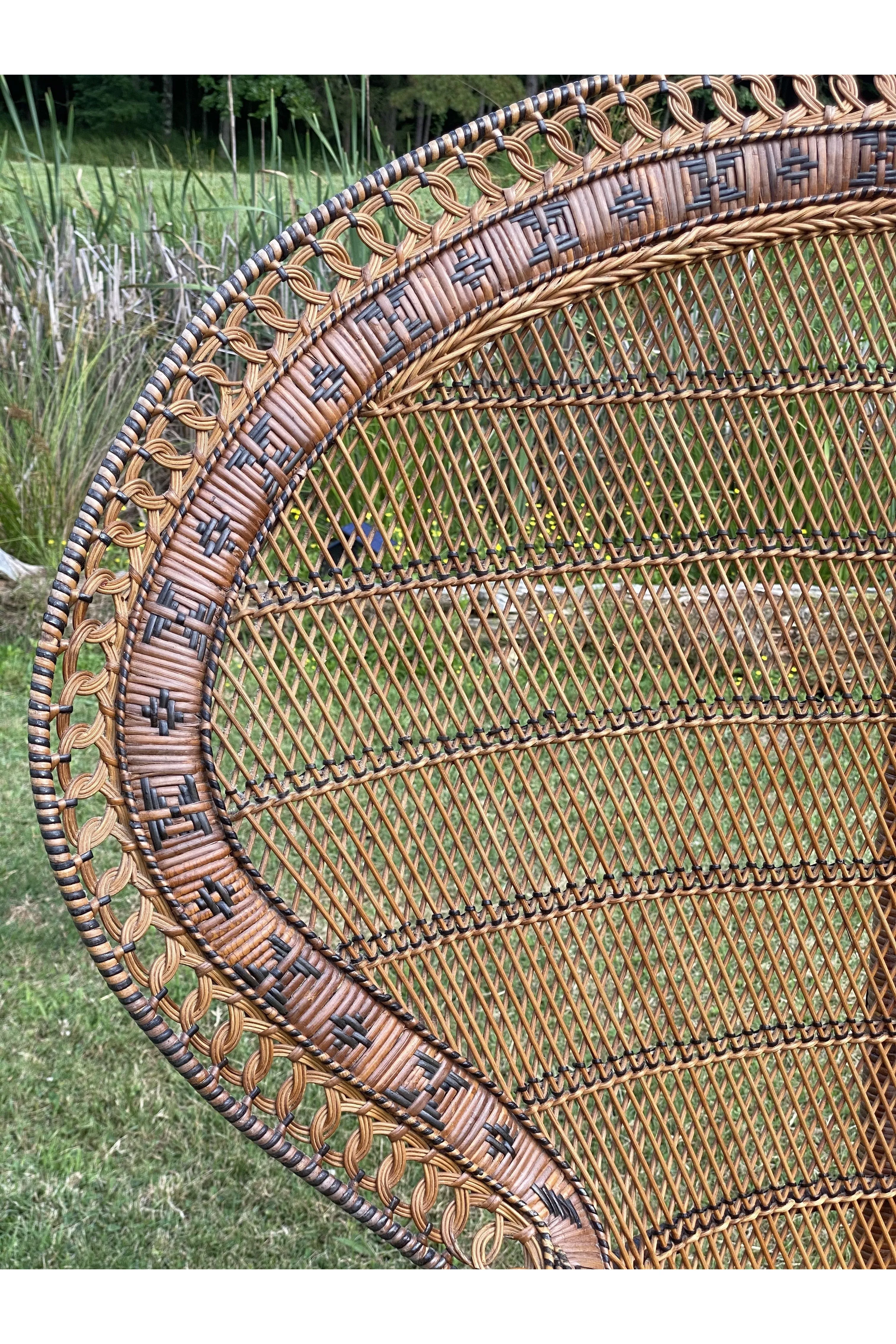 Ornate Rust Brown Peacock Chair - Rental