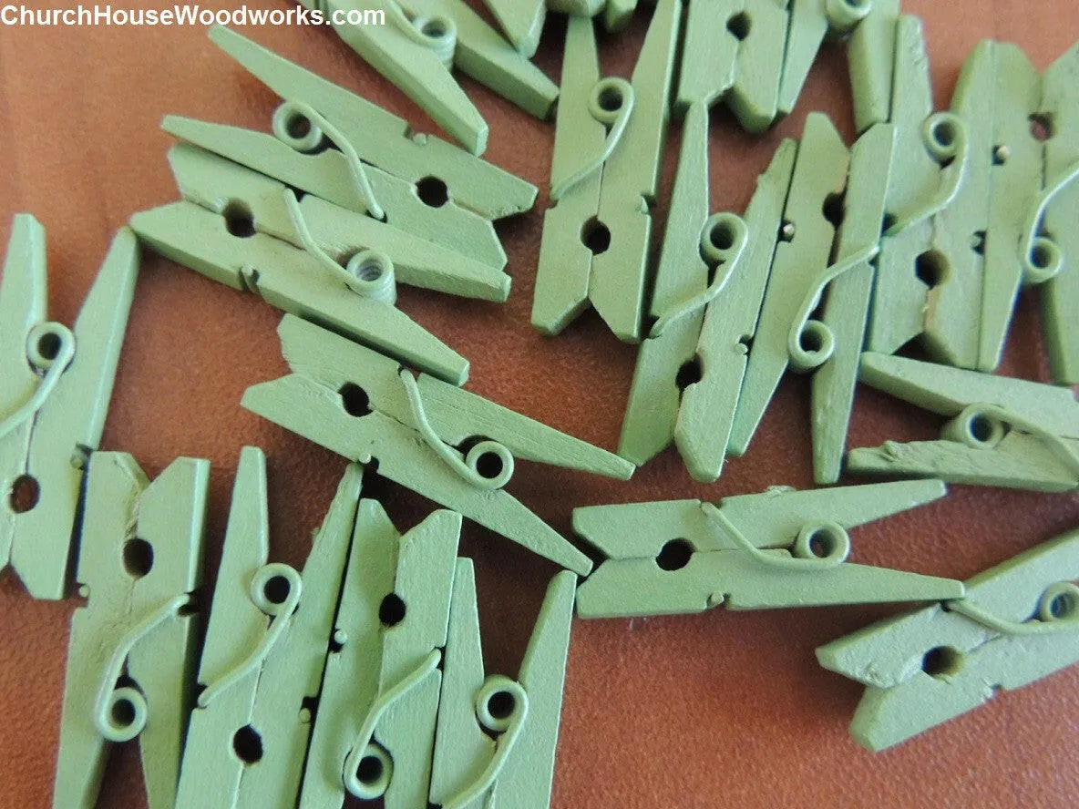 Pack of 100 Mini Light Green Clothespins