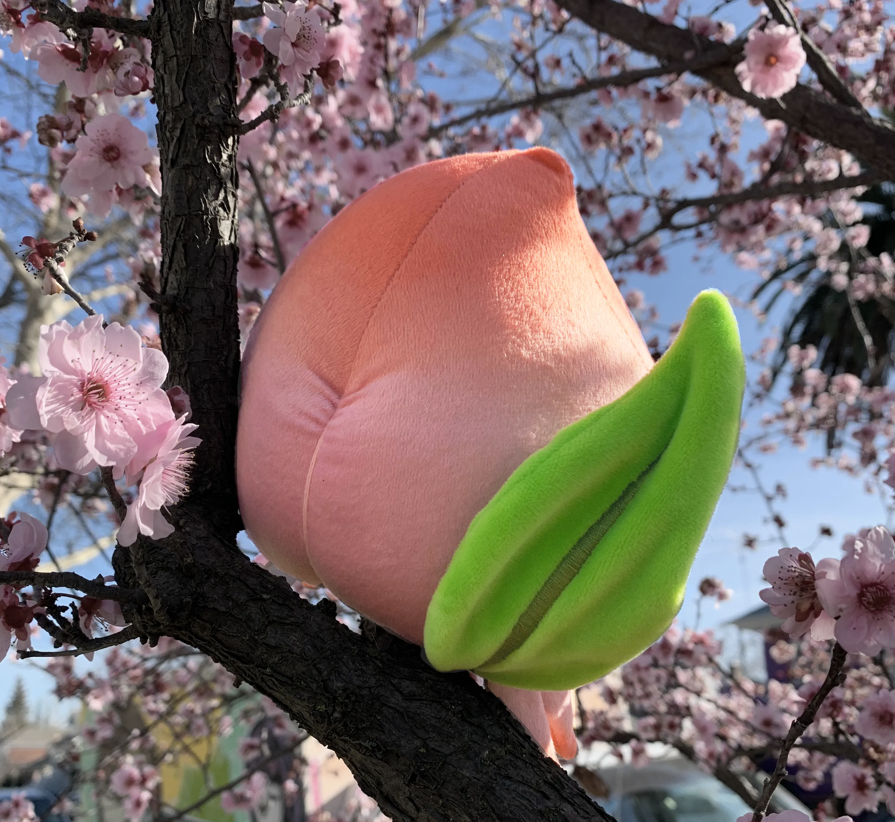 Peach Crab Designer Plush Toy