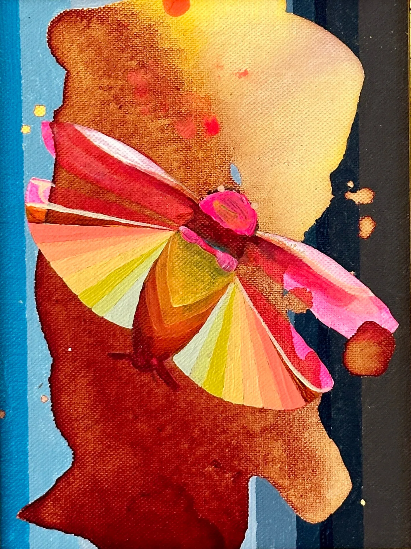 Pink Moth
