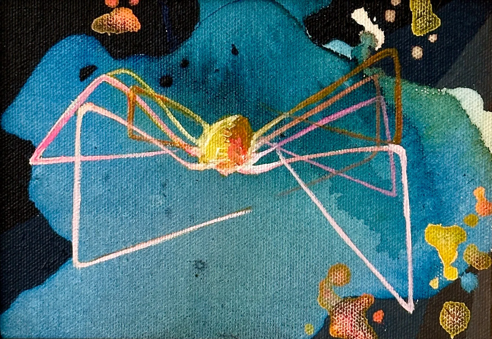 Pink Spider