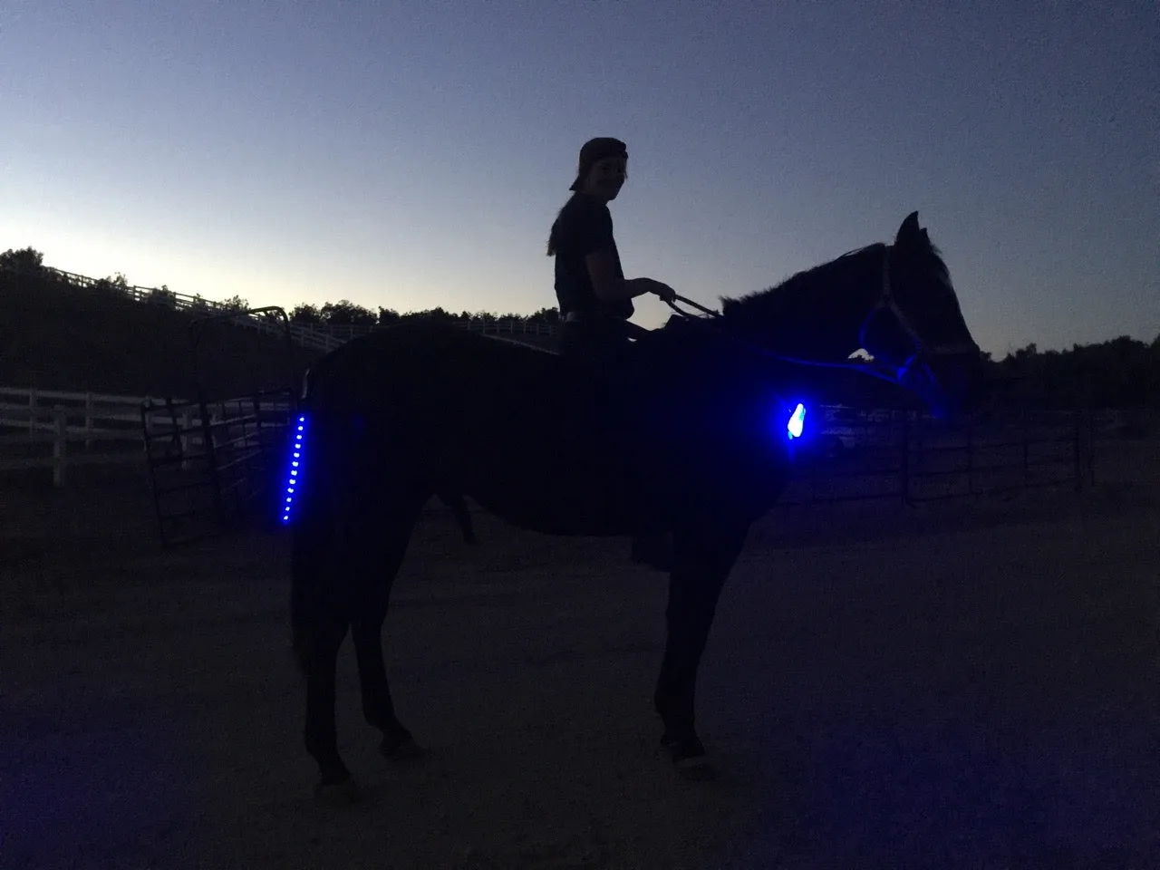 PRE - ORDER - NEW Compact Front/Tail Light!