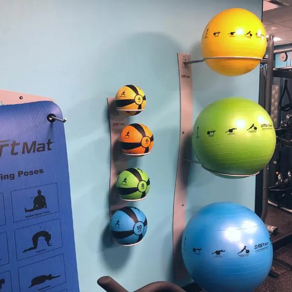 Prism Fitness Smart Ultimate Wall Mount Bundle