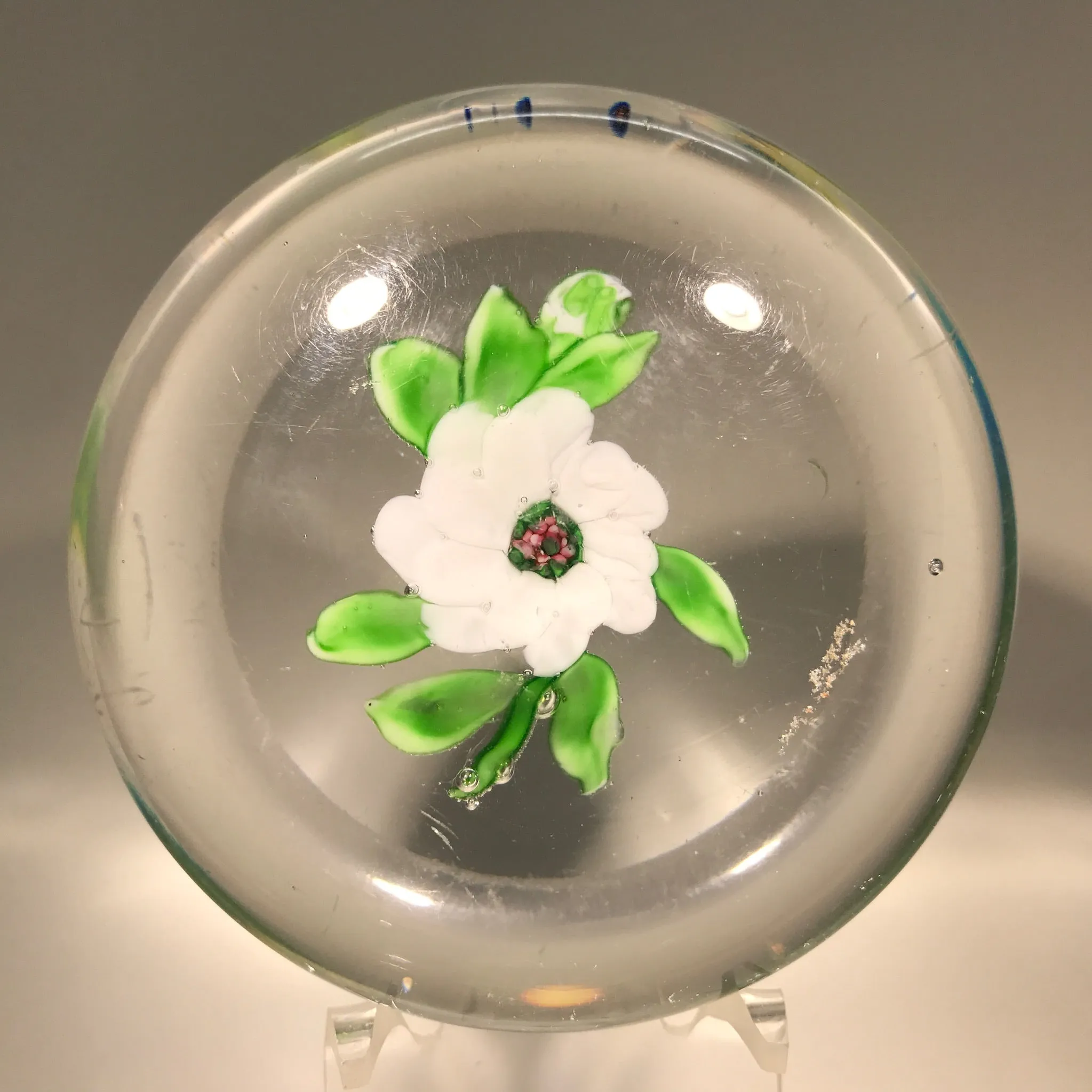 Rare Antique Clichy Art Glass Paperweight Lampwork White Camelia